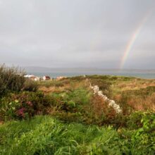 rainbow view of sauna by the sea heather and gorse2