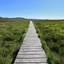 Connemara National Park Diamond Hill Hiking Boardwalk Section